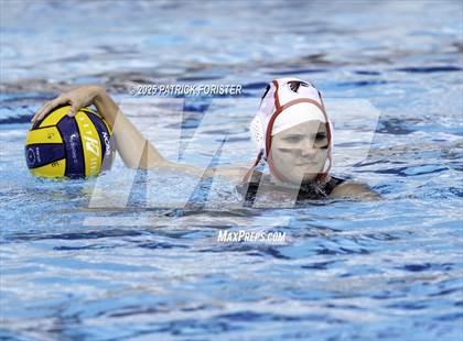 Thumbnail 2 in Warren vs. Stevens photogallery.