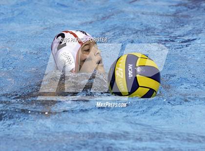 Thumbnail 1 in Warren vs. Stevens photogallery.