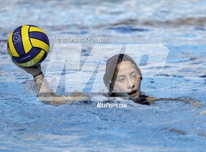 Thumbnail 3 in Warren vs. Stevens photogallery.