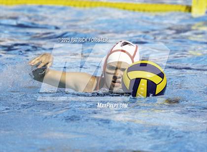 Thumbnail 3 in Warren vs. Stevens photogallery.