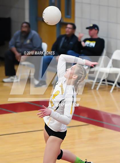 Thumbnail 1 in Salpointe Catholic vs. Marcos de Niza (AIA 4A Semifinal) photogallery.