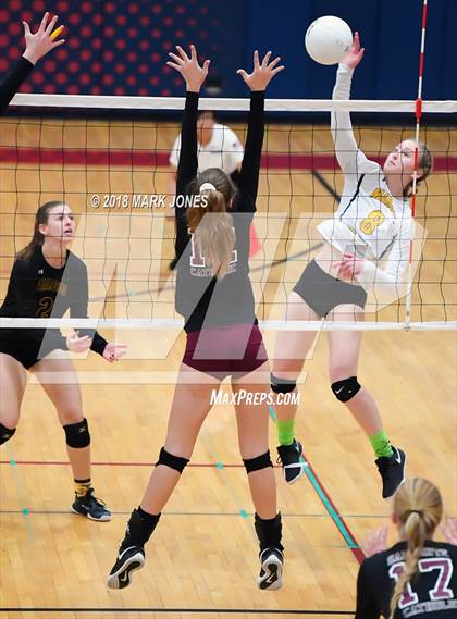 Thumbnail 1 in Salpointe Catholic vs. Marcos de Niza (AIA 4A Semifinal) photogallery.