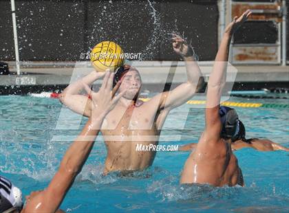 Thumbnail 2 in El Dorado @ El Modena photogallery.