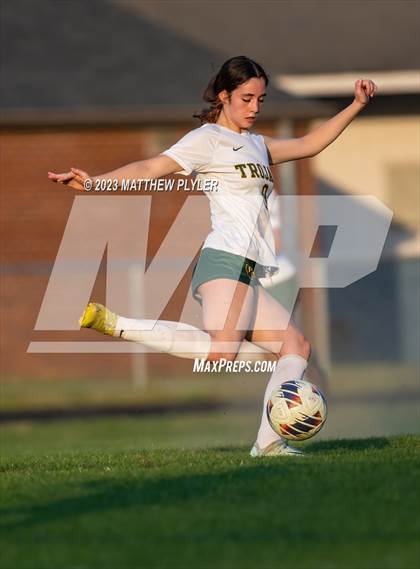 Thumbnail 3 in Pine Forest @ Terry Sanford photogallery.