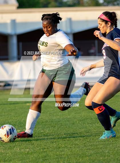 Thumbnail 3 in Pine Forest @ Terry Sanford photogallery.