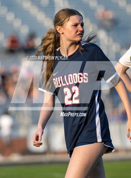 Thumbnail 1 in Pine Forest @ Terry Sanford photogallery.