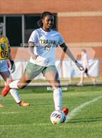 Photo from the gallery "Pine Forest @ Terry Sanford"