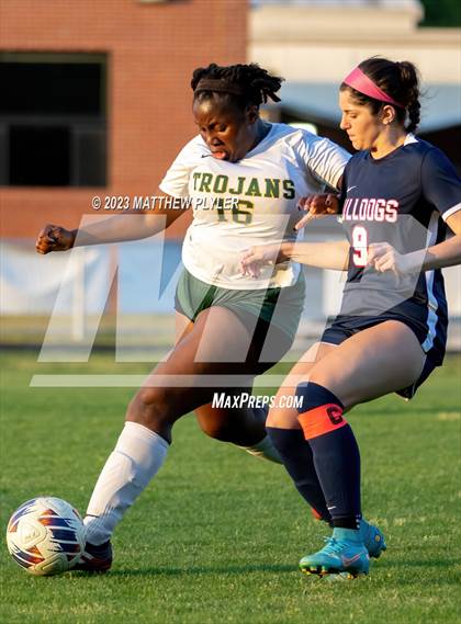 Thumbnail 1 in Pine Forest @ Terry Sanford photogallery.