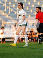 Photo from the gallery "Pine Forest @ Terry Sanford"