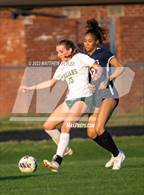 Photo from the gallery "Pine Forest @ Terry Sanford"