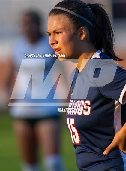 Thumbnail 3 in Pine Forest @ Terry Sanford photogallery.