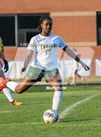 Photo from the gallery "Pine Forest @ Terry Sanford"