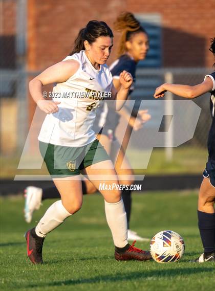 Thumbnail 1 in Pine Forest @ Terry Sanford photogallery.