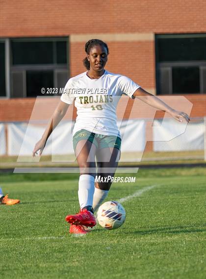Thumbnail 1 in Pine Forest @ Terry Sanford photogallery.