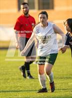 Photo from the gallery "Pine Forest @ Terry Sanford"