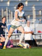 Photo from the gallery "Pine Forest @ Terry Sanford"