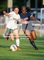 Photo from the gallery "Pine Forest @ Terry Sanford"