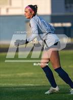 Photo from the gallery "Pine Forest @ Terry Sanford"