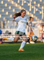 Photo from the gallery "Pine Forest @ Terry Sanford"