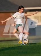 Photo from the gallery "Pine Forest @ Terry Sanford"