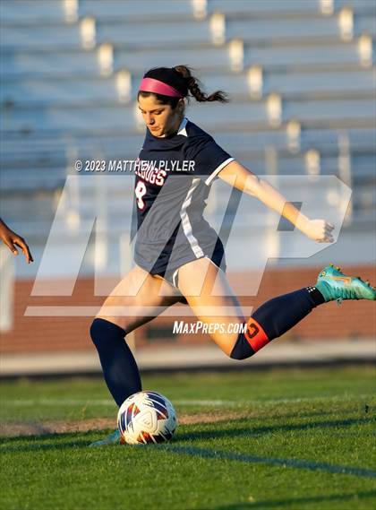 Thumbnail 2 in Pine Forest @ Terry Sanford photogallery.