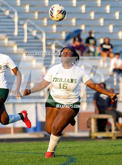 Thumbnail 1 in Pine Forest @ Terry Sanford photogallery.