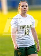 Photo from the gallery "Pine Forest @ Terry Sanford"