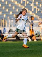 Photo from the gallery "Pine Forest @ Terry Sanford"