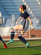 Photo from the gallery "Pine Forest @ Terry Sanford"