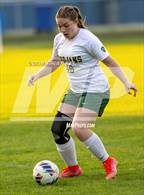 Photo from the gallery "Pine Forest @ Terry Sanford"