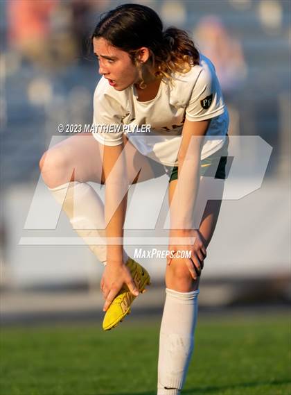 Thumbnail 3 in Pine Forest @ Terry Sanford photogallery.