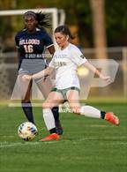 Photo from the gallery "Pine Forest @ Terry Sanford"