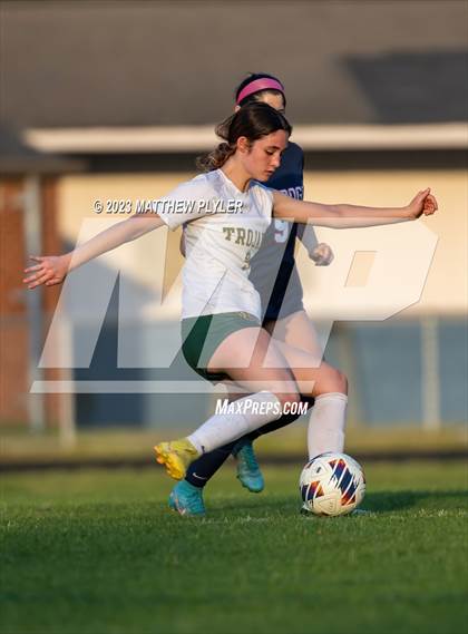 Thumbnail 2 in Pine Forest @ Terry Sanford photogallery.