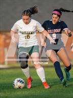 Photo from the gallery "Pine Forest @ Terry Sanford"