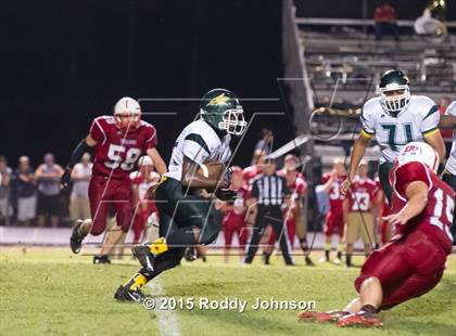 Thumbnail 3 in Mamou @ East Beauregard photogallery.