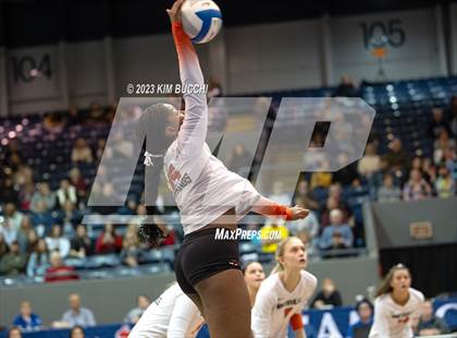 Thumbnail 3 in Forest Hills Northern vs. Northville (MHSAA Division 1 Semifinal) photogallery.