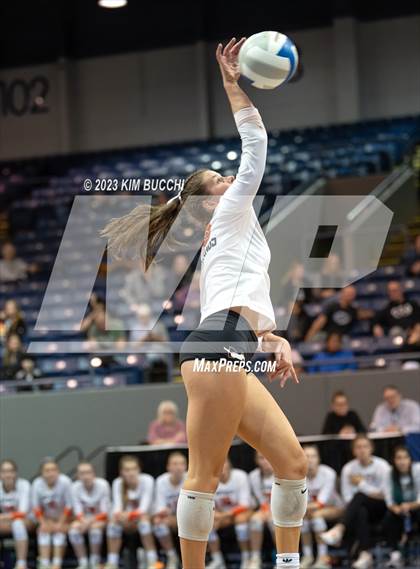 Thumbnail 3 in Forest Hills Northern vs. Northville (MHSAA Division 1 Semifinal) photogallery.