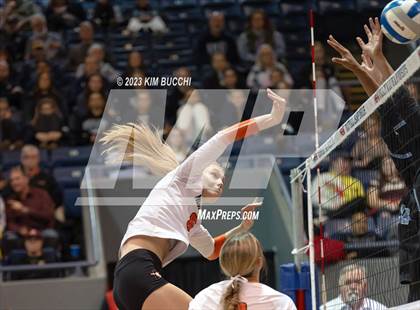 Thumbnail 3 in Forest Hills Northern vs. Northville (MHSAA Division 1 Semifinal) photogallery.