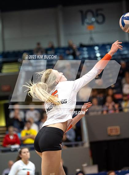 Thumbnail 1 in Forest Hills Northern vs. Northville (MHSAA Division 1 Semifinal) photogallery.
