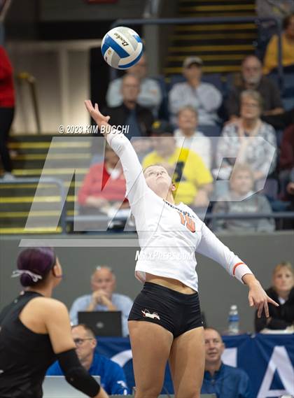 Thumbnail 3 in Forest Hills Northern vs. Northville (MHSAA Division 1 Semifinal) photogallery.