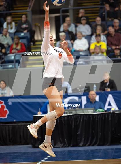 Thumbnail 2 in Forest Hills Northern vs. Northville (MHSAA Division 1 Semifinal) photogallery.
