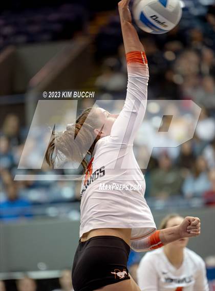 Thumbnail 1 in Forest Hills Northern vs. Northville (MHSAA Division 1 Semifinal) photogallery.