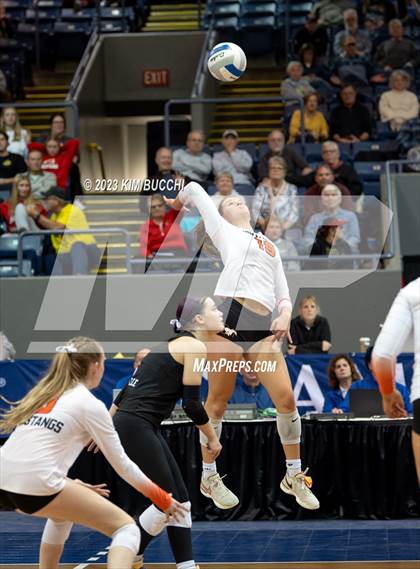 Thumbnail 3 in Forest Hills Northern vs. Northville (MHSAA Division 1 Semifinal) photogallery.