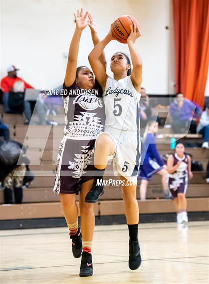 Thumbnail 2 in White Pine vs. Pyramid Lake (Serpent Classic) photogallery.