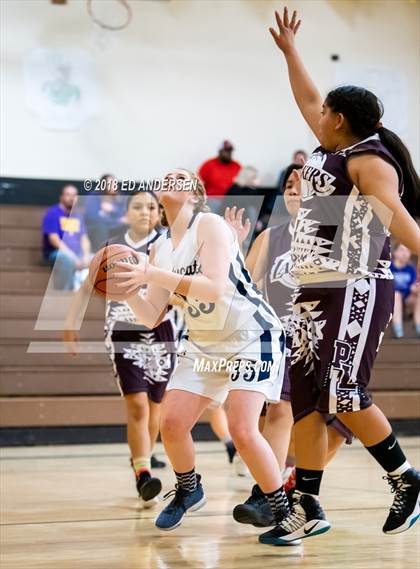 Thumbnail 3 in White Pine vs. Pyramid Lake (Serpent Classic) photogallery.