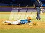 Photo from the gallery "Plant City @ Lennard"