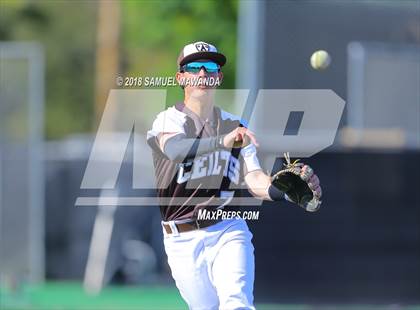 Thumbnail 1 in Birmingham @ Crespi photogallery.