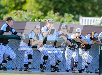 Thumbnail 3 in Birmingham @ Crespi photogallery.
