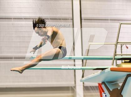 Thumbnail 1 in UIL 6A Swimming & Diving Finals photogallery.