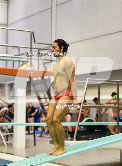 Thumbnail 2 in UIL 6A Swimming & Diving Finals photogallery.